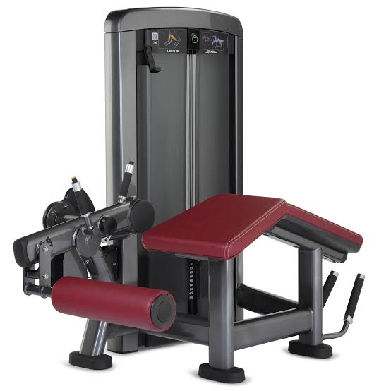 Mesa Flexora